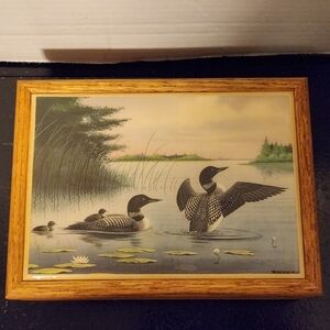 Vintage Jeff Raedeke Loon Print “ The Wooden Bird ” Jewelry Box/Trinket W/velvet